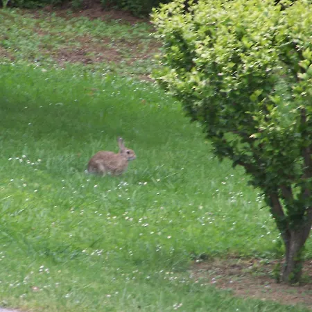 Aux 4 Saisons Bed & Breakfast 3*